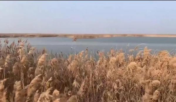 下载三角洲行动(给我一个《三角洲行动》的下载链接) 下载三角洲行动(给我一个《三角洲行动》的下载链接)