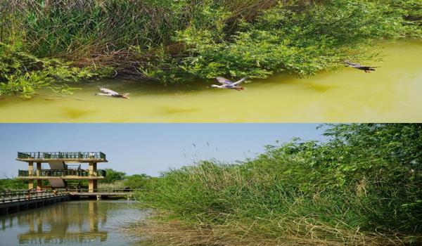 三角洲行动手游(给我三角洲行动手游的下载链接) 三角洲行动手游(给我三角洲行动手游的下载链接)